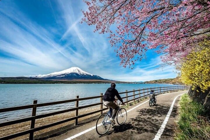 Mt fuji & Hakone customizable day tour w/ English speaking driver — photo 5