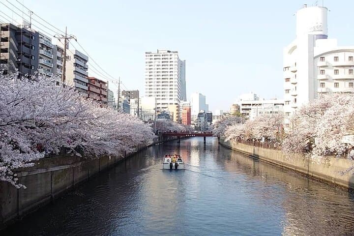 Eat and drink like Yokohama locals: ONLY 30 mins from Tokyo — photo 15
