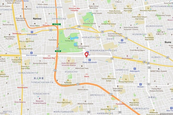 Osaka Abeno Harukas 300 Observatory ETicket — photo 6