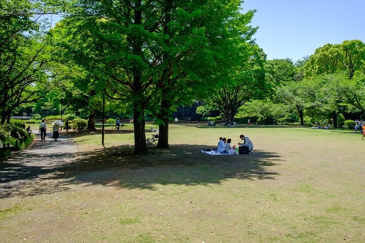 Exploring Toranagas Edo — photo 12