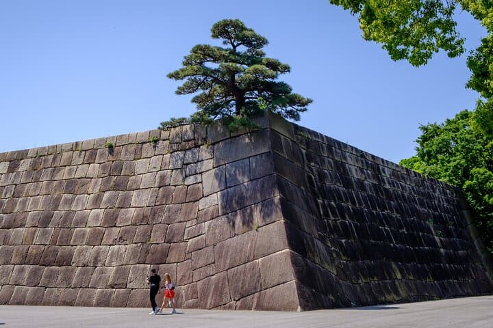 Exploring Toranagas Edo — photo 10