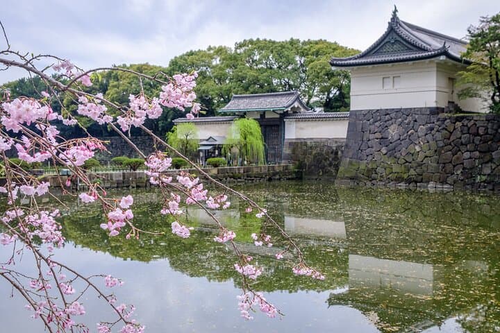 Exploring Toranagas Edo — photo 4