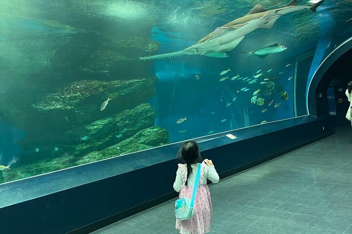 Tokyo Private Tour with a Kid~Friendly Guide — photo 1