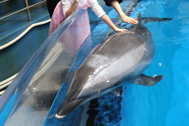Tokyo Private Tour with a Kid~Friendly Guide — photo 4