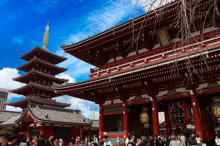 Private Tokyo Early Morning Tour (English & Spanish Available) — photo 1