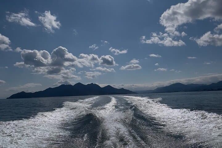Miyajima and Hiroshima Bay Cruise with Snacks and Drinks — photo 5