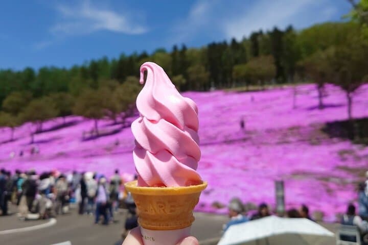 [Shibazakura / Tulip] Going by private car, Shibazakura Takinoue Park and Kamiyubetsu Tulip Park (from Sapporo) — photo 7