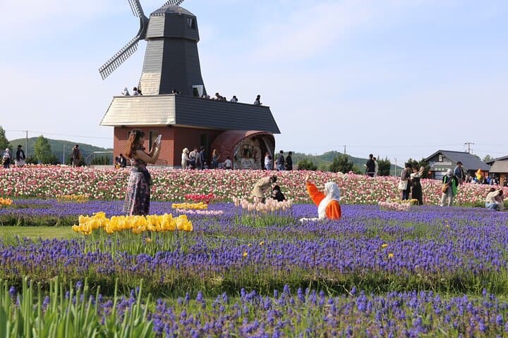 [Shibazakura / Tulip] Going by private car, Shibazakura Takinoue Park and Kamiyubetsu Tulip Park (from Sapporo) — photo 20