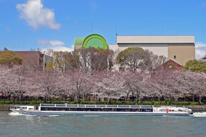 Osaka 1 Day Walking Tour with River Cruise from Osaka or Kyoto — photo 10