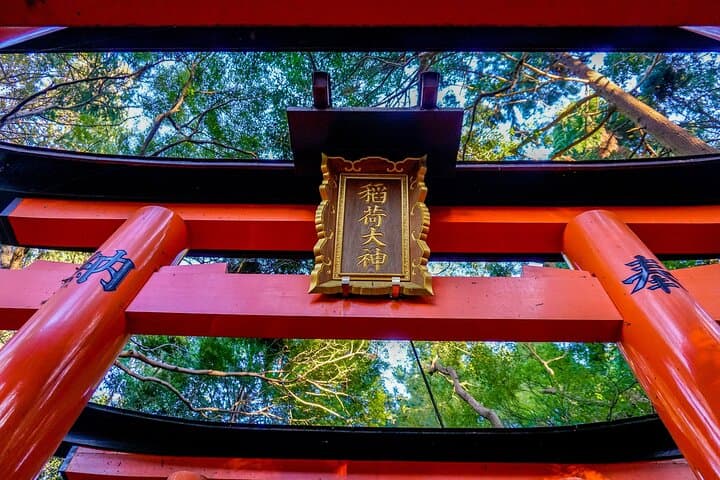 Osaka/Kyoto: Arashiyama, Fushimi Inari & Nara Park Day Trip — photo 3