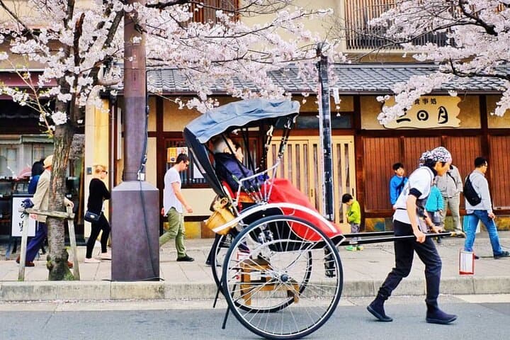 Osaka/Kyoto: Arashiyama, Fushimi Inari & Nara Park Day Trip — photo 17