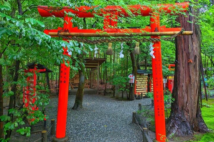 Osaka/Kyoto: Arashiyama, Fushimi Inari & Nara Park Day Trip — photo 20