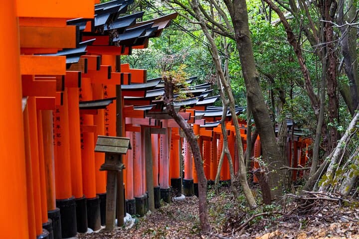 Osaka/Kyoto: Arashiyama, Fushimi Inari & Nara Park Day Trip — photo 5