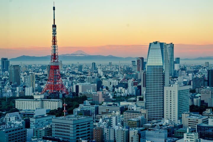 Tokyo 5-Hour Private Charter with NRT/HND Airport Transfer — photo 11