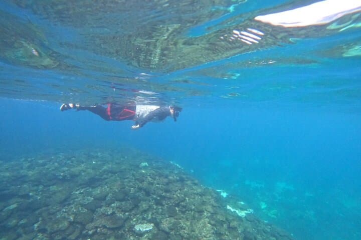 Okinawa West Coast 3-Hour Paddle-boarding adventures — photo 9