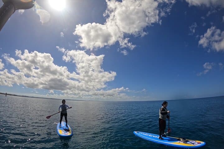 Okinawa West Coast 3-Hour Paddle-boarding adventures — photo 6