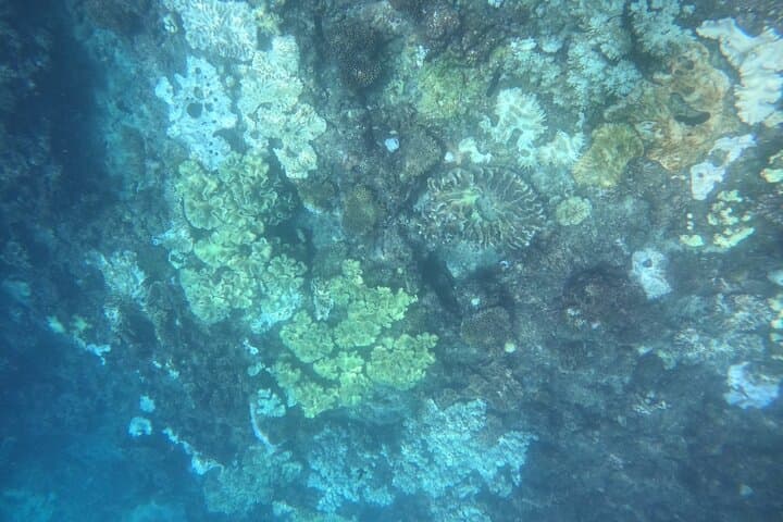 Okinawa West Coast 3-Hour Paddle-boarding adventures — photo 15