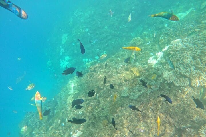 Okinawa West Coast 3-Hour Paddle-boarding adventures — photo 11