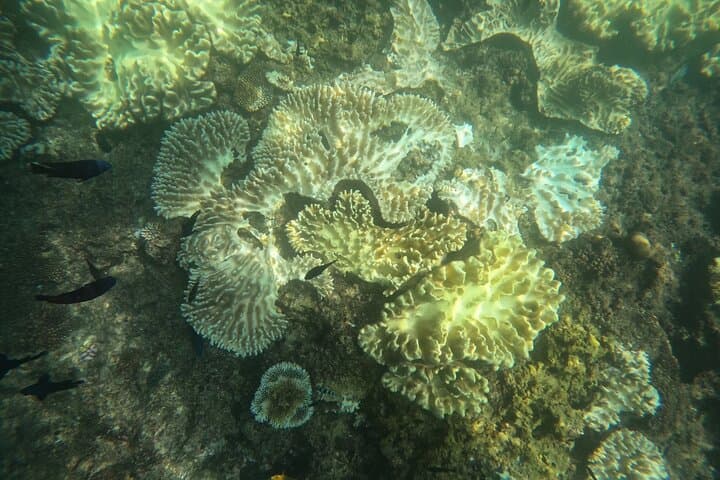 Okinawa West Coast 3-Hour Paddle-boarding adventures — photo 16