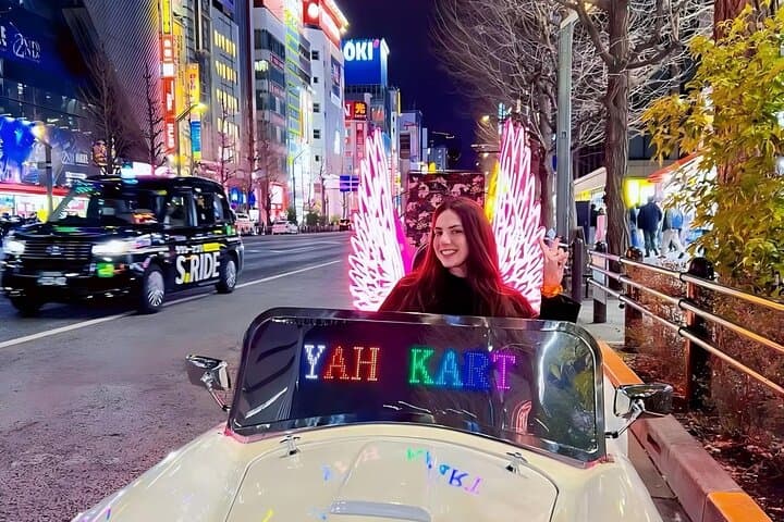 Tokyo Go Kart Tour in Akihabara (IDP Required) — photo 19