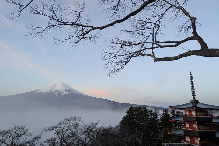 Lake Kawaguchi Private Hiking Tour with English Speaking guide — photo 6