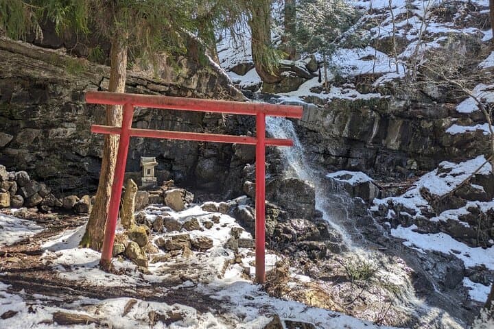 Lake Kawaguchi Private Hiking Tour with English Speaking guide — photo 9