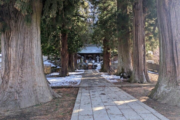 Lake Kawaguchi Private Hiking Tour with English Speaking guide — photo 10