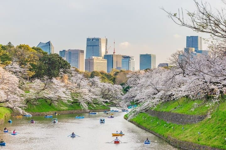 Cultural Day Trip Experience in Tokyo — photo 2
