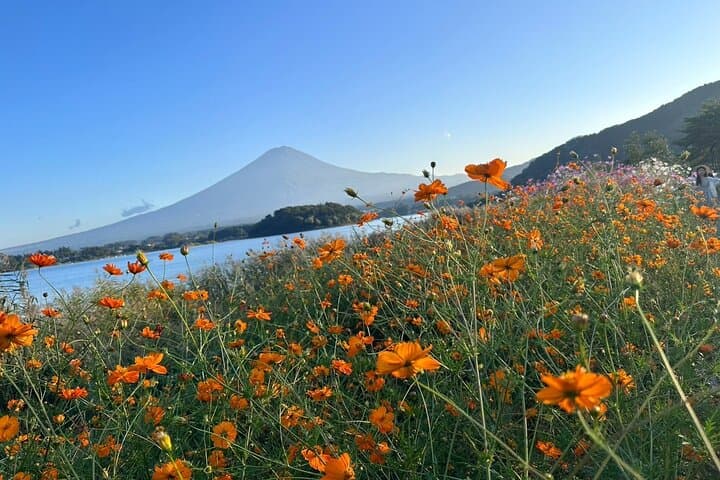 Lake Kawaguchi : Exclusive Private Customized Tour w/ Local Guide — photo 12