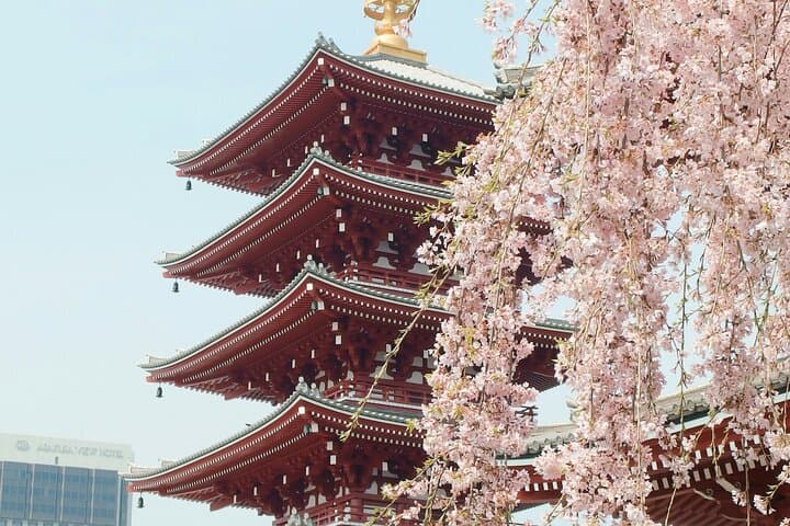 Tokyo City Adventures Private English Tour With Hotel Pickup — photo 5