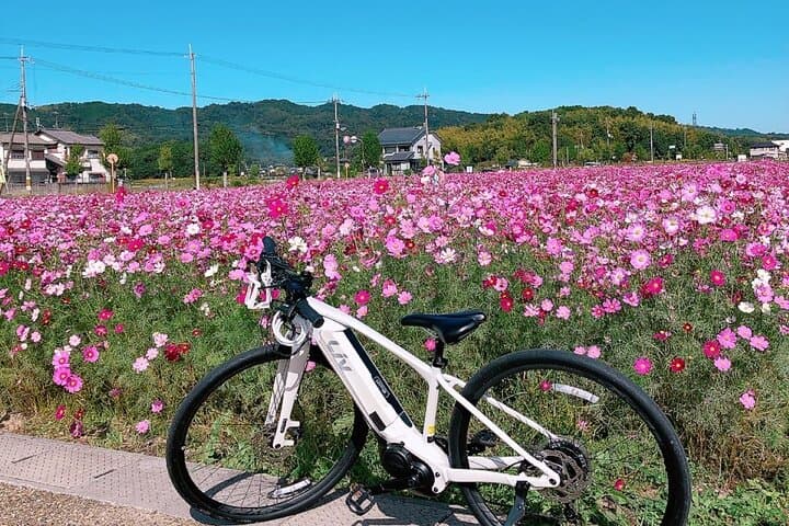 E-Bike Tour through Ikaruga’s Temples and Countryside — photo 5