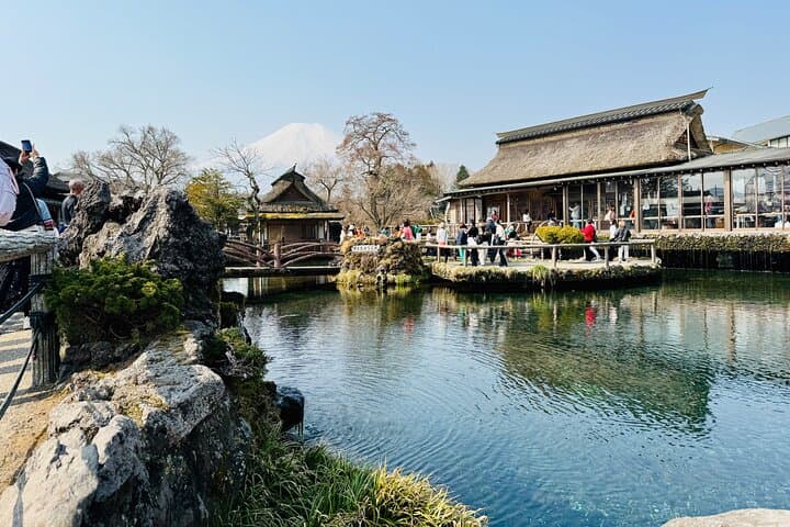 Tokyo: Customized Mt. Fuji & Hakone Sightseeing Private Day Trip — photo 10