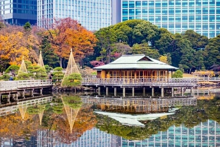 Tsukiji Food Strolling and Hama Rikyu Garden Walking Tour — photo 10