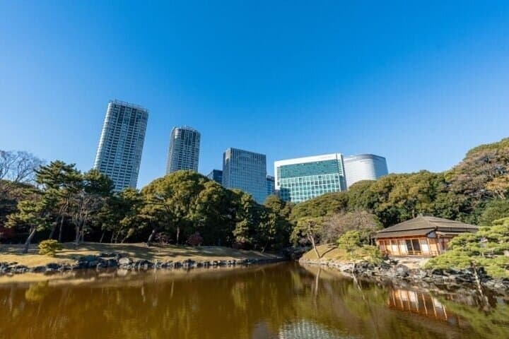 Tsukiji Food Strolling and Hama Rikyu Garden Walking Tour — photo 9