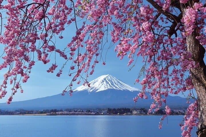 Tokyo 10-Hour Arakurayama, Oishi Park & Lake Yamanaka Group Tour — photo 2