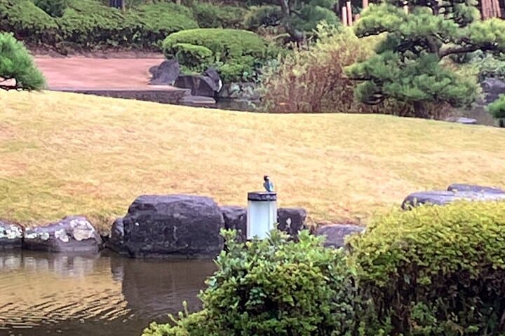 Kimono Dressing & Tea Ceremony Experience at a Beautiful Garden — photo 13