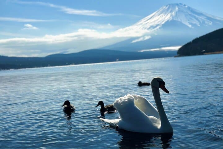 Mount Fuji (Mt. fuji) private tour by car with pickup from Tokyo — photo 1