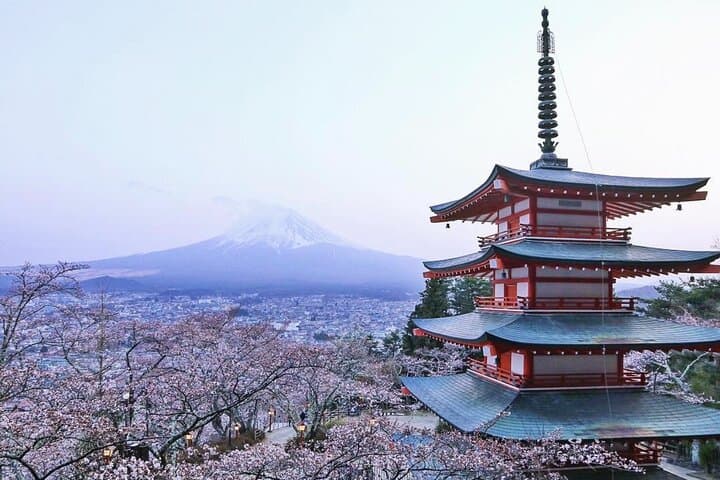 Mount Fuji (Mt. fuji) private tour by car with pickup from Tokyo — photo 5