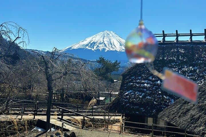 Mount Fuji (Mt. fuji) private tour by car with pickup from Tokyo — photo 8