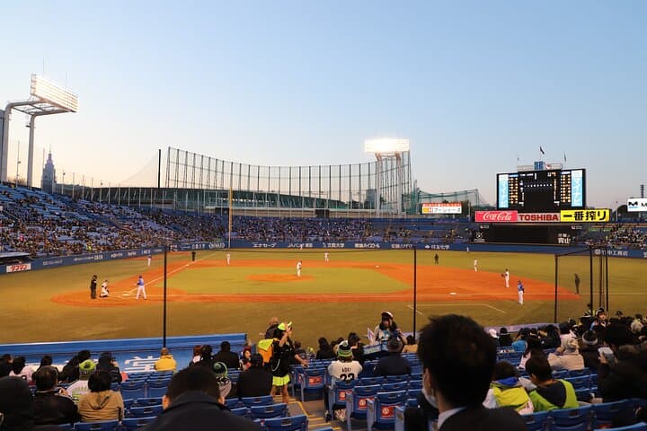 Tokyo Baseball Experience Tour with Expert English-Speaking Guide — photo 2