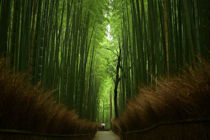 Private Kyoto Customizable Day Tour with Guide and Vehicle — photo 14