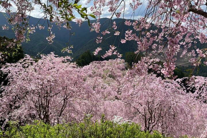 Hike and Stay in Exclusive Mountain Escape — photo 8