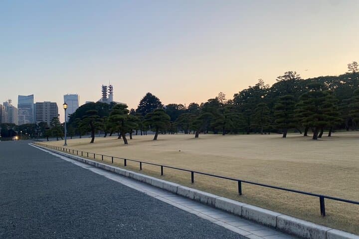 Imperial Palace and Political Landmarks The Heart of Tokyo Tour — photo 13