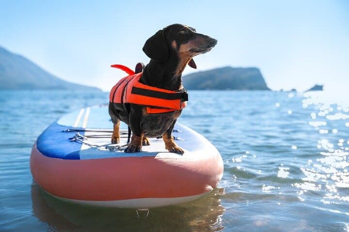 Exciting Kayak Adventure on Lake Shikotsu Toya National Park — photo 5