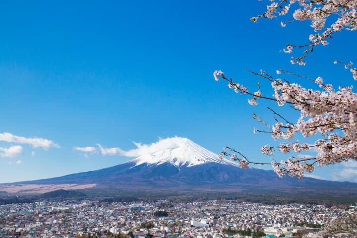 Mt. Fuji 5th St and Gotemba Outlets (Disband at Gotemba Outlets) — photo 5