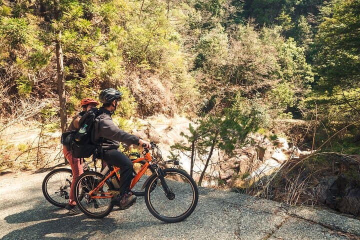 Inaka food and Ebike tour in Yuki — photo 4