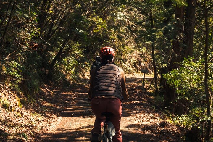 Inaka food and Ebike tour in Yuki — photo 7
