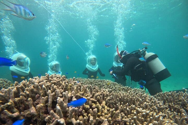 Underwater SeaWalker Experience Ishigaki Island — photo 10