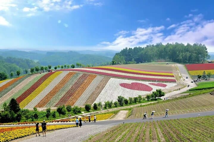 Farm Tomita Shikisai Hill Blue pond with optional Buffet| Sapporo — photo 8
