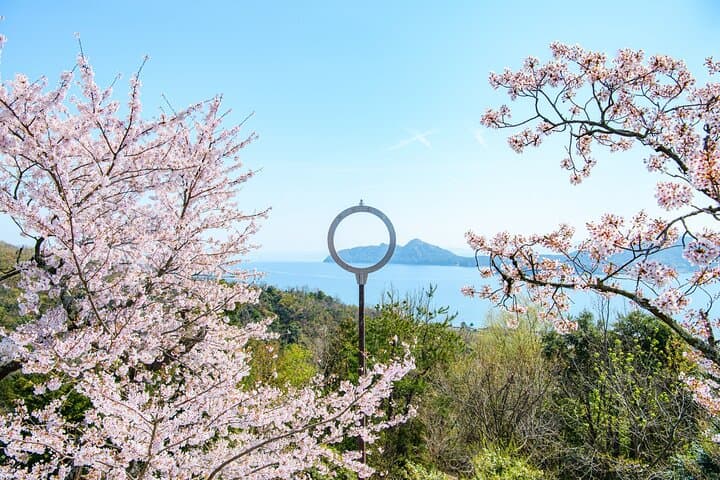 Kyoto Amanohashidate and Ine No Funaya Tour from Osaka — photo 3